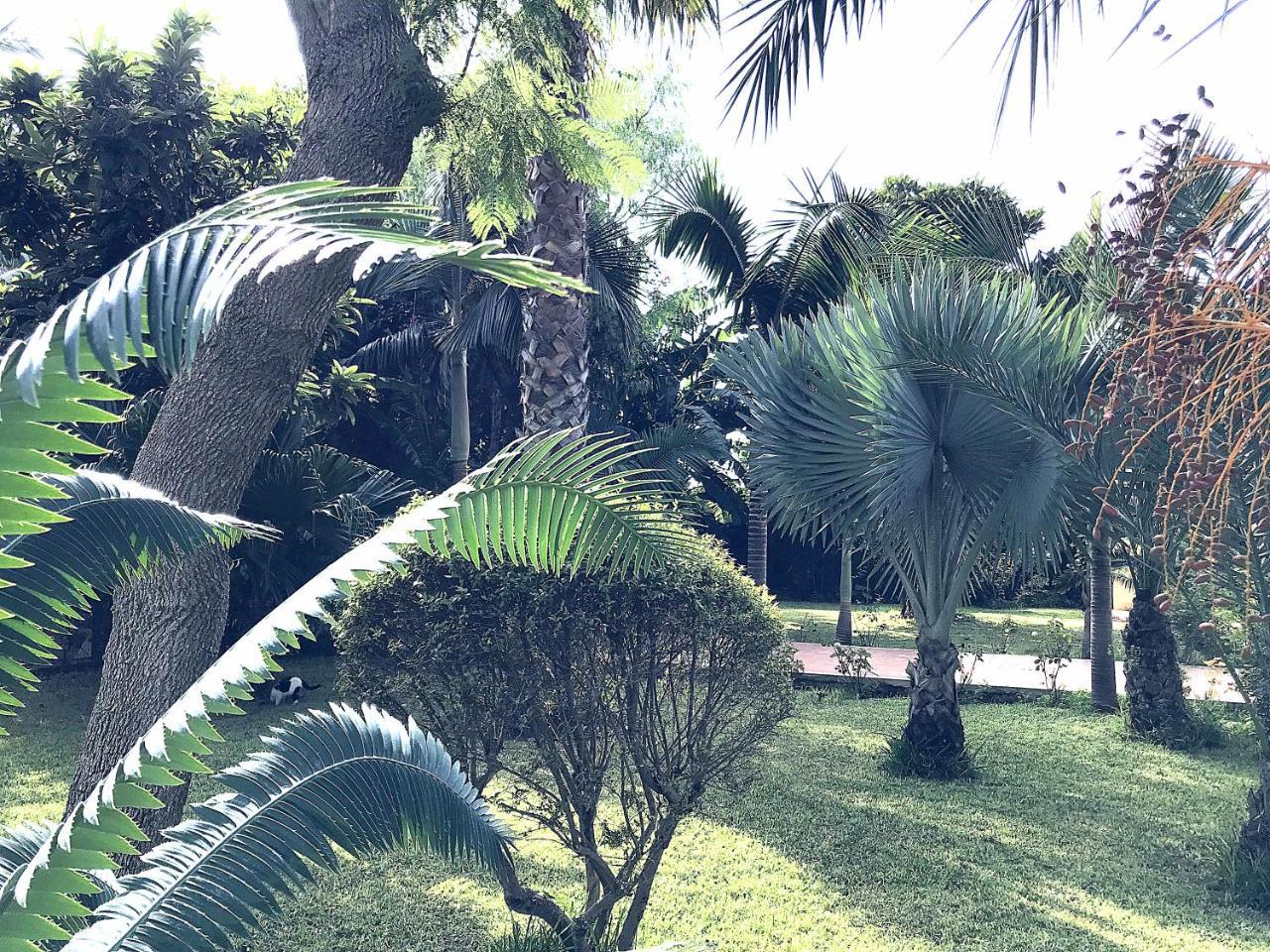 Villa Marrone - Relais - Marsala Luaran gambar